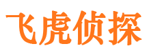 集贤外遇调查取证